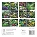 Country Gardens 2016 Mini 7x7 Wyman
