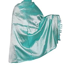 Evening Shawls Silk Paisley Pattern Outerwear 44 x 72 inches (bssl022)