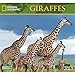Giraffes National Geographic 2015 Wall Calendar