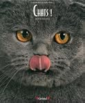 Chats !