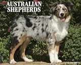 Just Australian Shepherds 2013 Wall Calendar