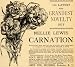 1891 Ad Nellie Lewis Carnations James Vick Seeds Flower - Original Print Ad