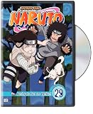 Naruto, Vol. 29