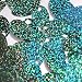 Large Hole Oval Sequin 1.25
