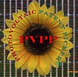 Photovoltaics Patent Picker 03/2009