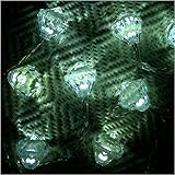 �X�g�����O���C�g �_�C�������h