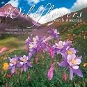 Wildflowers Of North America 2010 Wall Calendar