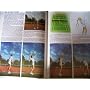 Bien jouer au tennis 