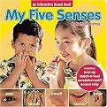 My Five Senses (Board)