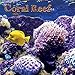 Turner Photo 2017 Coral Reef Photo Mini Wall Calendar, 7 x 14 inches Opened (17998950033)