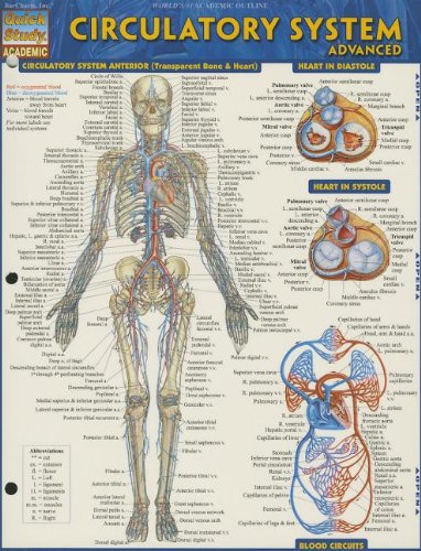 circulatory system advanced quick study academic