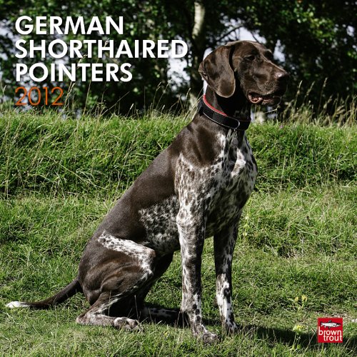 German Shorthaired Pointers 2012 Square 12X12 (Intl Calendar (Multilingual Edition)