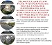 Search Our Specialty Mall : Massive Cash Flow Pack with Generate Extra Cash, Biz Networking and Accounting & Finance for Coin Collecting Kits Web Biz 3 Course + Resource Guide