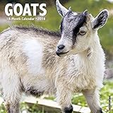 2016 goats wall calendar