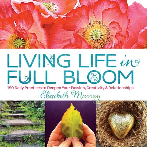 Living Life in Full Bloom: 120 Daily Practices to Deepen Your Passion, Creativity & Relationships