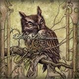 A New Home, in the Old World [VINYL]