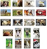 FUNNY DOGS AND OTHER ANIMALS postcard set of 20 postcards. Funny dog and animal quotes post card variety pack. Made in USA.