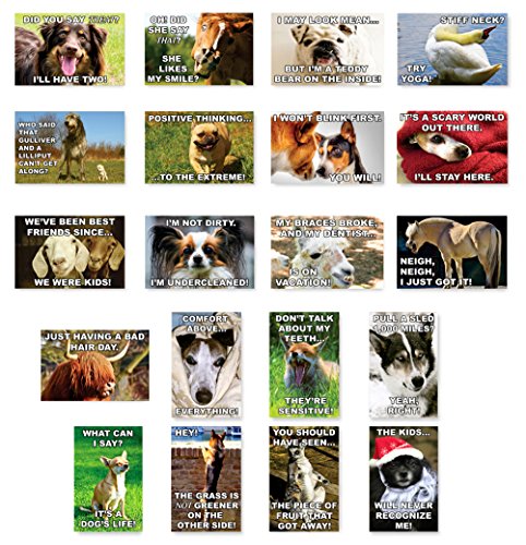FUNNY DOGS AND OTHER ANIMALS postcard set of 20 postcards. Funny dog and animal quotes post card variety pack. Made in USA.