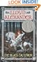 The Black Cauldron (Turtleback School & Library Binding Edition) (Chronicles of Prydain (Pb))