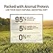 Instinct Original Grain Free Real Beef Recipe Natural Wet Canned Dog Food by Nature's Variety, 5.5 oz. Cans (Case of 12)