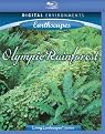 Living Landscapes: Olympic Rainforest (Blu-ray) (Widescreen)
