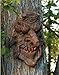 Poison Oak: Greenman Tree Sculpture