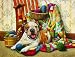 Patchwork Match 500pc Jigsaw Puzzle by Doug Knutson