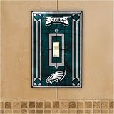 Philadelphia Eagles Art Glass Switch Cover