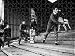 Jigsaw of Rochdale Football Club 1968 from MirrorPrintStore