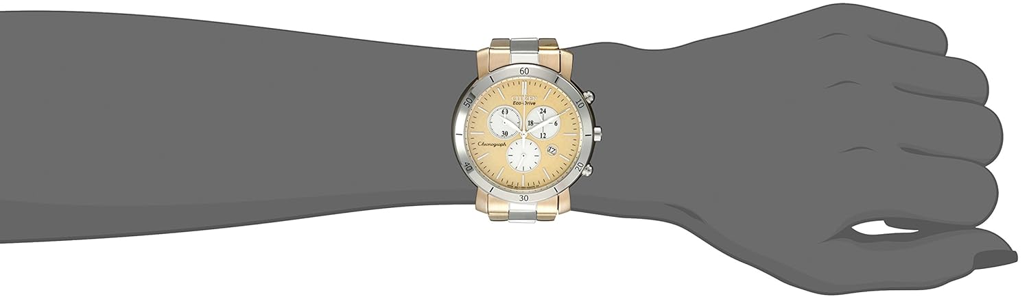 Amazon.com: Citizen Women's FB1346-55Q Drive from Citizen Eco ...