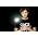 Miniaturansicht von Cosmic Gate