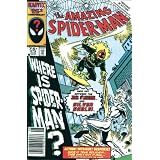 Spider-Man Vs. Silver Spider-Man Vs. Silver
