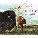 The Buffalo Are Back