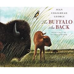 The Buffalo Are Back