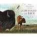 The Buffalo Are Back