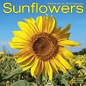 Sunflowers 2010 Wall Calendar 12" X 12"