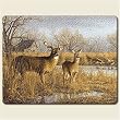 Small Cutting Board ~ Deer - Our Side of the River ~ Made of Tempered Glass ~ Code 289