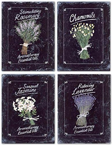 Rosemary, Chamomile, Lavender, & Jasmine by Martin Wiscombe~Set of 4 UNFRAMED Art Prints