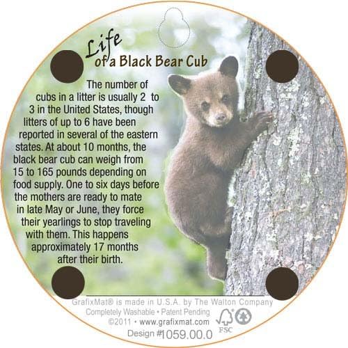 GrafixMat Coaster, Life of a Black Bear Cub, Made in the USA