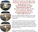 Book The Guru's Make An Extra Income, Sales Models and eCommerce for Homeopathic Supplements And Vitamins Web Businesses 3 CD Power Pack