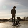 Image of The Tallest Man on Earth