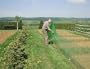gr�ner Gartenzaun 20 m x 80 cm H�hnerzaun + 12 Pf�hle H�hner-Zaun Gefl�gelzaun Garten