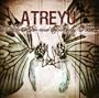 Suicide Notes & Butterfly Kisses (W/Dvd)