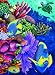 Colors of the Sea 500 pc