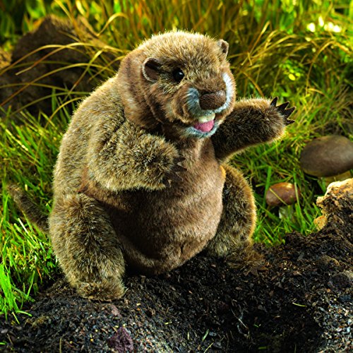 Folkmanis Groundhog Hand Puppet Toys Games Toys Dolls, Playsets Toy