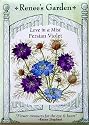 Persian Violet Love in a Mist Heirloom Seeds 200 Seeds