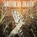 Southern Lights  Hollow Heart