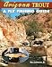 Arizona Trout : A Fly Fishing Guide