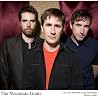 Image of Mountain Goats