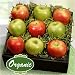 Gourmet Food : Apple Appeal - Organic